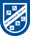 tsv logo